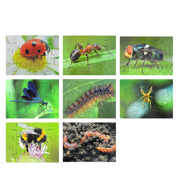 Palapeli Hyönteiset 8 erilaista