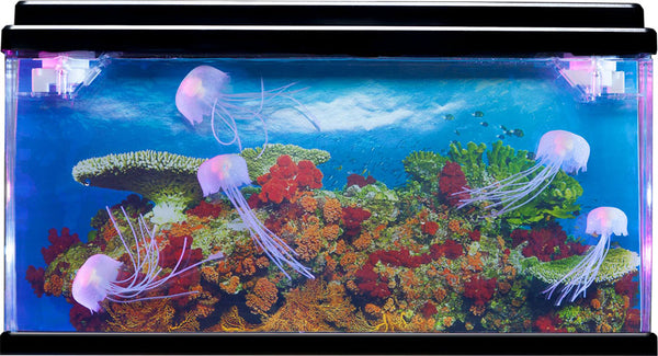 Iso Meduusa akvaario