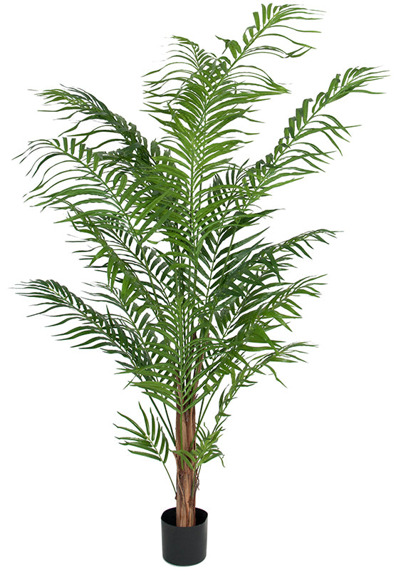 Tekokasvi Areca Palm 180 cm