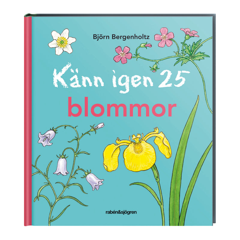 Bok Känn igen 25 blommor