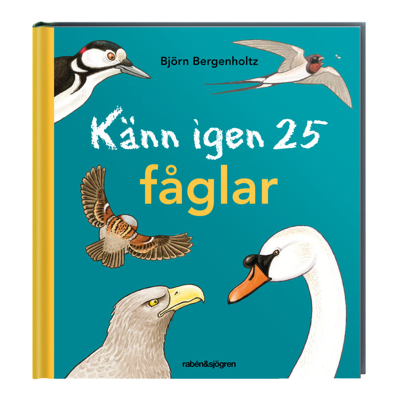 Bok Känn igen 25 fåglar