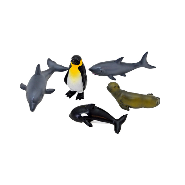 Havets mjuka djur 5 olika