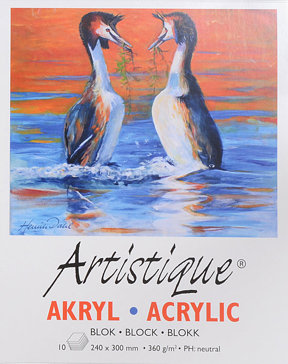 Akryylilehtiö 10 arkkia 24 x 30 cm